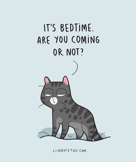 Lingvistov on Instagram: “Going to bed soon😴 don’t forget the snuggles, everyone! And don’t stay up too late.  Visit our online shop - Lingvistov.com  #funny…” Katt Grejer, Gatos Cool, Fluffy Kittens, Cat Comics, Going To Bed, Funny Cats And Dogs, Go To Bed, Cat Quotes, Cat Sitting