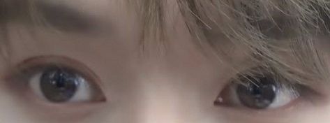 #leeknow Lee Know Twitter Header, Minho Eyes, Lee Minho Stray Kids, Why I Love Him, Eye Details, Lee Minho, Cute Profile Pictures, Twitter Header, Crazy Kids