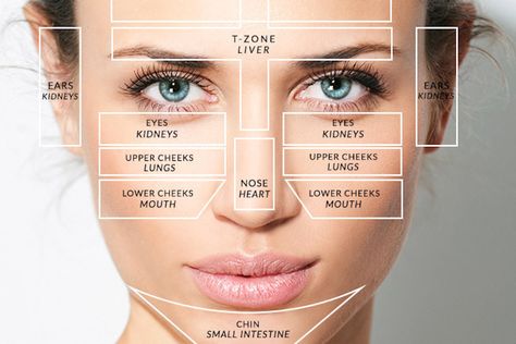 Discover how different parts of your face could reveal a lot about your health that you didn't know. Doterra Acne, Gesicht Mapping, Face Mapping Acne, Body Toxins, Face Mapping, Things To, To Try, Acne Causes, Hormonal Acne