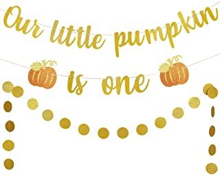 One Birthday Banner, Pumpkin Birthday Parties, Pumpkin 1st Birthdays, Pumpkin First Birthday, Birthday Photo Booths, One Banner, 1st Birthday Party Decorations, 1st Birthday Banners, Happy First Birthday