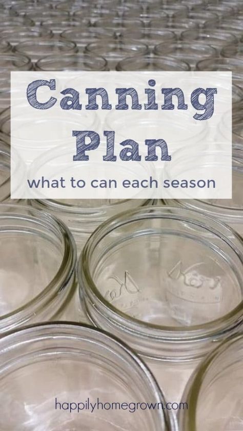 Want to know when the best time is to can? Check out my Canning Plan to see the possibilities, and get inspired to preserve your own food at home. What To Can, Canning 101, Home Canning Recipes, Canning Vegetables, Canning Food Preservation, Canned Food Storage, Canning Tips, Water Bath Canning, Food At Home