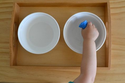 Water transfer activities for toddlers- sponge, baster, and funnel Water Activities For Toddlers, Motor Skills Preschool, Montessori Trays, Toddler Teacher, Sponging, Montessori Practical Life, Montessori Toddler Activities, Toddler Classroom, Montessori Preschool