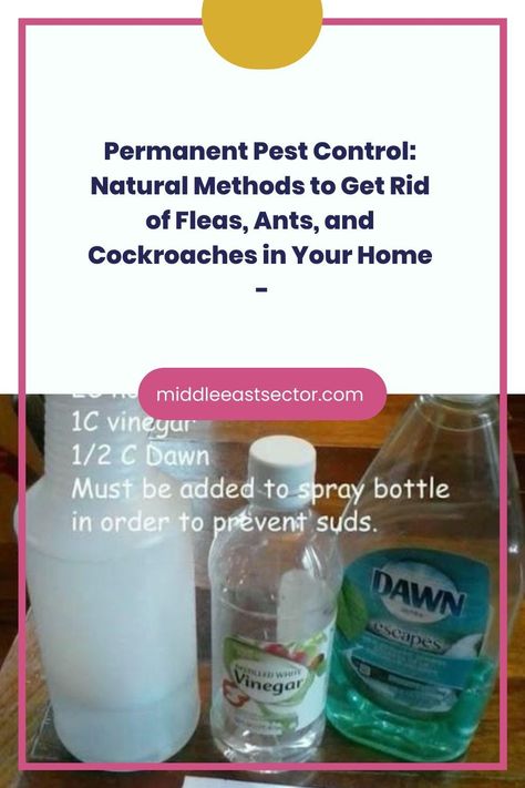 Creating a DIY insect repellent spray that’s safe and effective is a great way to keep unwanted pests like fleas, ants, and cockroaches out of your home without resorting to harsh chemicals. Here’s how to make and use it: Ingredients: 1 cup of liquid detergent2 cups of alcohol or apple cider vinegar2 tablespoons of cloves1/4 Diy Insect Repellent, Get Rid Of Fleas, Insect Eggs, Insect Repellent Spray, Natural Pest Control, Cleaning Recipes, Liquid Detergent, Insect Repellent, Surface Cleaner