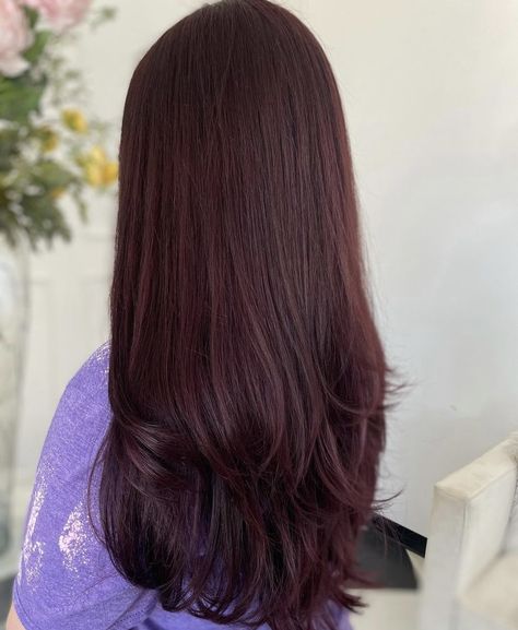 Cassis Purple Hair, Cherry Red Hair On Pale Skin, Berry Hair Color Plum, Brown Purple Hair Color, Mahogany Balayage Brown Hair, Bordeaux Hair Color, Berry Brown Hair Color, Hair Colors For Olive Skin Tone, Cherry Coke Hair Color