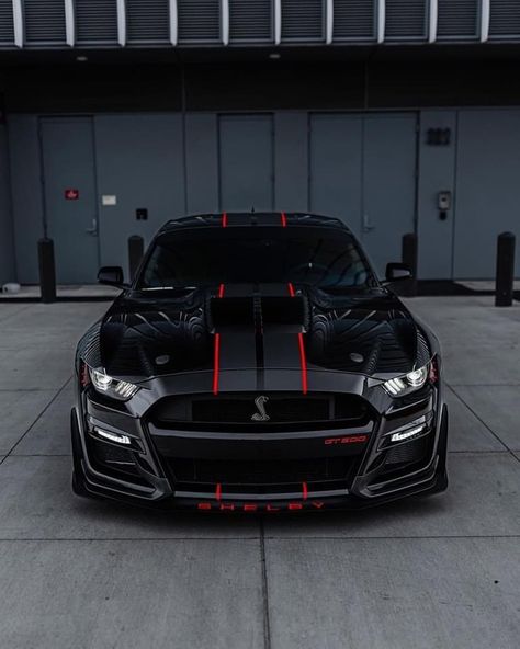 Kereta Sport, Black Mustang, Shelby Gt350, New Luxury Cars, Ford Mustang Car, Ford Mustang Shelby Gt500, Mustang Cobra, Ford Shelby, Shelby Gt500