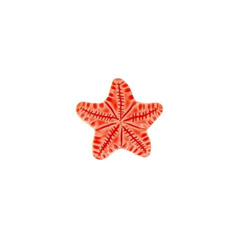 Cute Girly Designs, Graphic Images For Tshirts, Starfish Drawing, Ocean Graphic, Fun Chalk Art, Starfish Tattoo, Orange Illustration, Background Orange, Dorm Posters