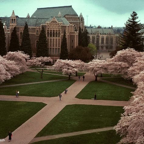 University of Washington || 31 Insanely Beautiful Colleges You Can Get Married At Uw Huskies, Evergreen State, Dream College, Dream School, University Of Washington, College Campus, University Campus, Emerald City, Dream City