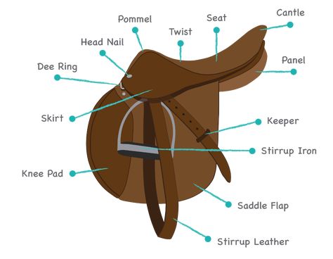 parts of a english saddle at DuckDuckGo Laughing Horse, Horse Lessons, Raising Farm Animals, American Heritage Girls, Horse Info, Horse Riding Tips, Horse Games, Horse Camp, Free Horses