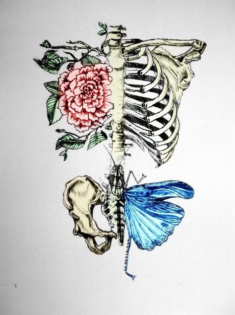 rib cage butterfly rose Drypoint Etching, Tumblr Drawings, Kunst Tattoos, Human Skeleton, Anatomy Art, Fantasy Illustration, Flower Mandala, Piercing Tattoo, Dreamcatcher Tattoo