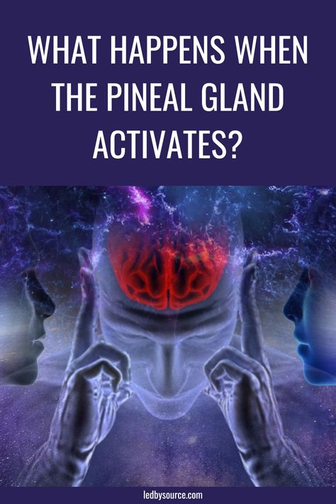 Pineal Gland Anatomy, Decalcifying Pineal Gland, Pineal Gland Facts, Third Eye Opening Practice, Hypothalamus Gland, Pituitary Gland, Third Eye Opening, Psychic Development Learning, Pineal Gland