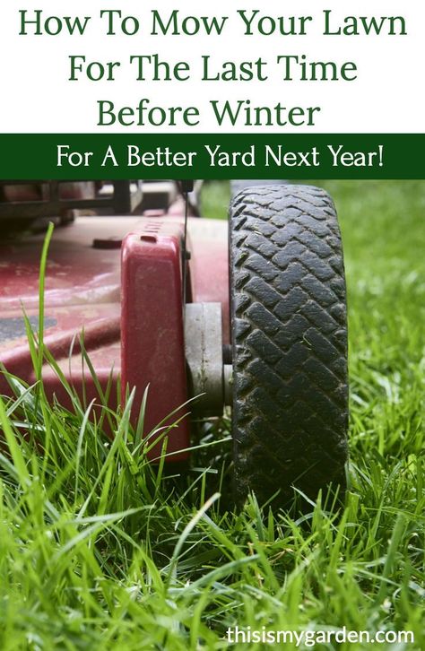 Winter Lawn Care, Lawn Mower Maintenance, No Mow Grass, Fall Lawn, Winter Health, Lawn Care Tips, Fall Care, Summer Lawn, Garden Equipment