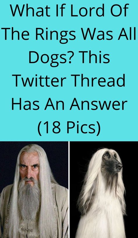 What If Lord Of The Rings Was All Dogs? This Twitter Thread Has An Answer (18 Pics) Smaug Dragon Hobbit, Lord Of The Rings Names, Faramir Lotr, Lord Of The Rings Hobbits, White Haired Character, Aragorn Fanart, Lord Of The Rings Diy, Lotr Hobbits, Lord Of The Rings Christmas