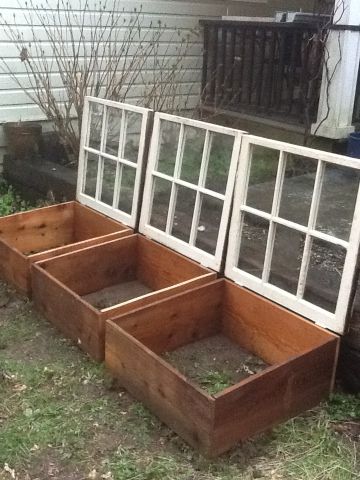 Serre Diy, Cold Frame Diy, Recycled Windows, Recycled Door, Garden Boxes Diy, Wooden Greenhouses, Backyard Greenhouse, Small Greenhouse, Survival Gardening