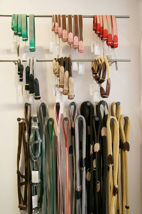 Mungo & Maud Luxury Dog Collars and Leads Dog Collar Display, Collar Display, Pet Store Design, Pet Store Ideas, Dog Grooming Salons, Luxury Dog Collars, Pet Hotel, Dog Business, House Training Dogs