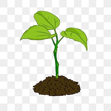 Agriculture Icon, Soil Drawing, Painted Earth, Earth Materials, Earth Illustration, Remove Background From Image, Free Photography, Transparent Material, Wallpaper Images