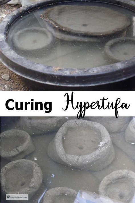 Curing Hypertufa, that all important step... Hypertufa Projects Garden Art, Hypertufa Recipe, Hyper Tufa, Hypertufa Pots, Step Garden, Hypertufa Projects, Small Flower Gardens, Concrete Casting, Diy Concrete Planters