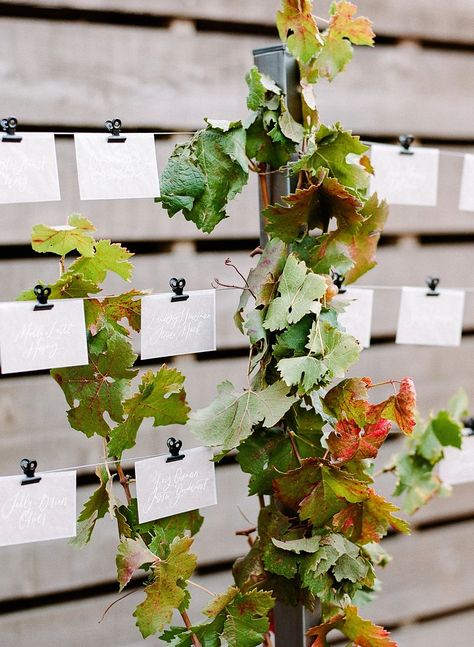 Great fall wedding inspiration idea for your autumn place cards. The grape vines intertwined make this so romantic. #escortcards #placecards #fallweddinginspo Vineyard Decorating Ideas, Modern Seating Chart Wedding, Wedding Ideas Seating, Seating Chart Wedding Ideas, Fall Rustic Wedding Ideas, Modern Seating Chart, Napa Wedding Venues, Fall Vineyard, Place Settings Wedding