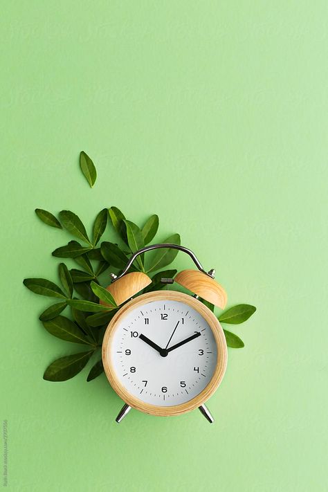 Twin bell alarm clock with green leaves Purple Flower Background, Pastel Background Wallpapers, Clock Wallpaper, Montage Photo, Poster Background Design, Instagram Wallpaper, Flower Background Wallpaper, Instagram Frame, Pastel Background