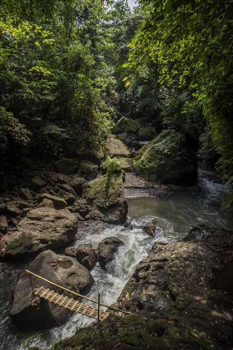 River in the jungle stock photography Japanese Jungle, Bamboo Bridge, Jungle Pictures, African Jungle, In The Jungle, Southeast Asian, Stock Photography, Vietnam, Photo Image