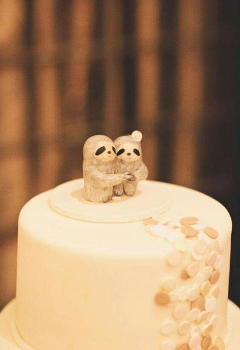 Sloth Wedding, Sloth Cakes, Sloth Life, Sloth Art, Jillian Harris, Massachusetts Wedding, Sloth Lovers, Sloth Gift, Sloths Funny