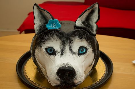 Husky Cake Design, Husky Birthday Cake, Husky Cake, Cake Ideas Chocolate, Husky Birthday, Birthday Cake Ideas, Anniversary Cake, Birthday Cakes, Cake Ideas