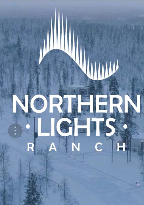 Northern Lights Graphic Design, Northern Lights Logo, Northern Lights Ranch, Levi Lapland, Newspaper Template Design, Logo Design Japanese, Trade Logo, Polar Night, Light Icon