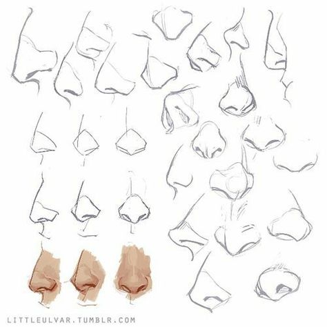 얼굴 드로잉, Nose Drawing, 얼굴 그리기, Anatomy Sketches, Drawing Style, Anatomy Drawing, Poses References, Figure Drawing Reference, Body Drawing