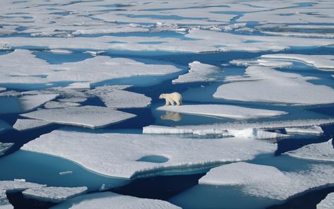 Arctic Ocean Aesthetic, Pollution Environment, Arctic Landscape, Oil Drilling, Ice Sheet, Arctic Sea, Arctic Ice, Sea Ice, Fish Sea