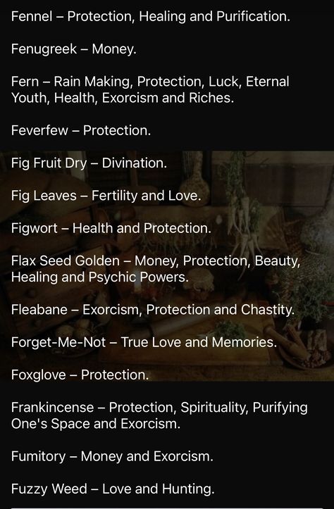 Protective Herbs, Witch Info, Herb Magick, Magickal Correspondences, Herbal Witch, Hoodoo Magic, Magickal Herbs, Fig Fruit, Magic Crafts