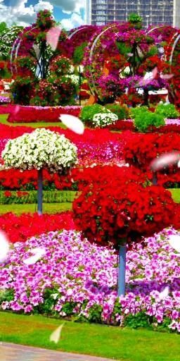 ❤️ Flowers 💐 🌈 💋 💋 ���💋 💋 [Video] | Most beautiful gardens, Beautiful flowers wallpapers, Miracle garden Rose Belle, Miracle Garden, फोटोग्राफी 101, Different Types Of Flowers, Most Beautiful Gardens, Beautiful Flowers Garden, Haiwan Peliharaan, Beautiful Flowers Wallpapers, Beautiful Rose Flowers