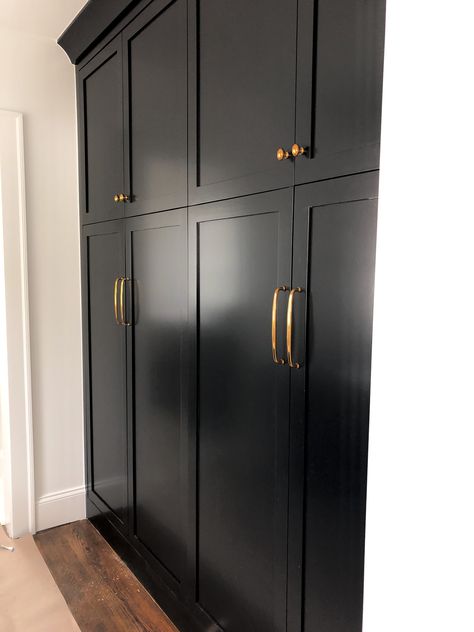 Black Bedroom Cupboard Designs, Black Bedroom Cupboards, Black Built In Wardrobe Bedroom, Black Built In Closet, Black Wardrobe Bedroom Ideas, Black Built In Wardrobe, Black Wardrobe Bedroom, Moody Closet, Black Wardrobes