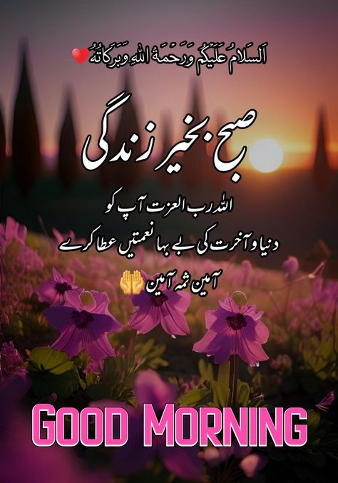 Good Morning Prayer Quotes, Sweet Good Morning Images, Subha Bakhair, Subah Bakhair, Clean Funny, Flowers Quotes, Clean Funny Jokes, Assalamualaikum Image, Good Morning Nature