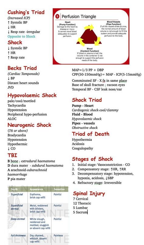 Paramedic School Essentials, Emt Study Medical Mnemonics, Emt Basic Medications, Paramedic Study Guide, Emt Basic Notes, Emt Study Tips, Hepatic Encephalitis, Critical Care Paramedic, Emt Study Guide