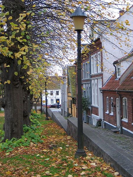 Street in the old part of Horsens, Denmark... I rode my bike from Juelsminde to… Horsens Denmark, Danish Culture, Kingdom Of Denmark, Mermaid Statues, Scandinavian Countries, Nordic Countries, Funny Horse, Copenhagen Denmark, Europe Travel Tips