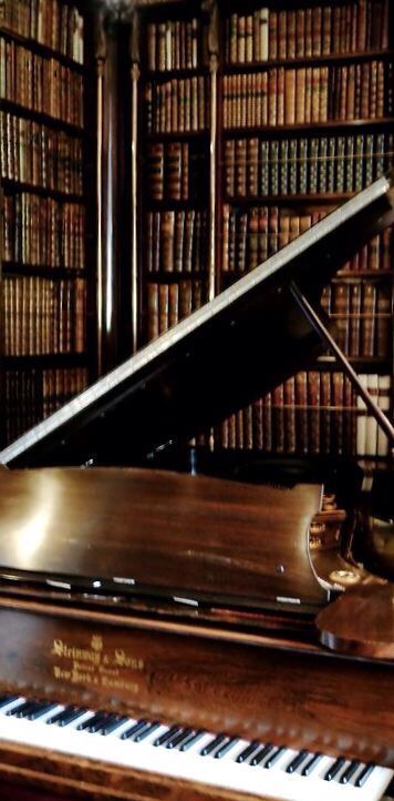 Classical Instruments, Piano Aesthetic, Classic Core, Old Piano, Piano Room, Vampire Academy, Home Libraries, Grand Piano, Red Walls