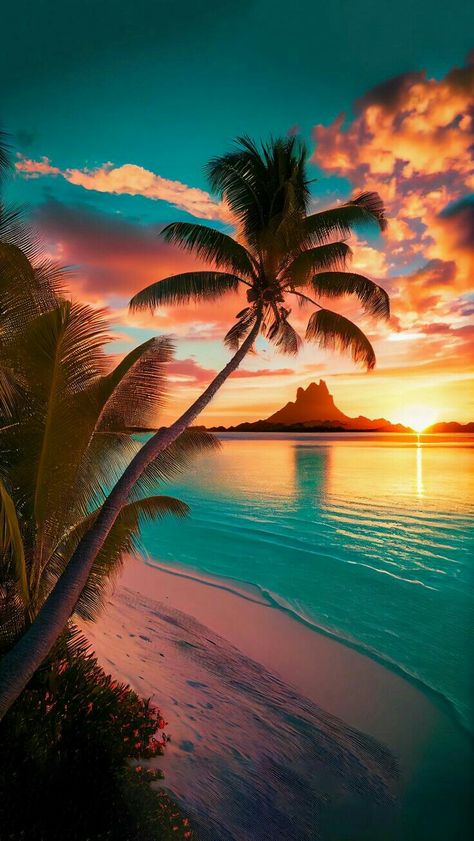 Beach At Sunset, Palm Trees, The Beach, Trees, Sun