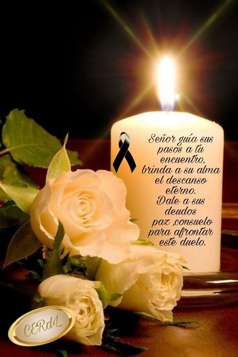 Condolences Quotes, Cherish Life Quotes, Dia De Los Muertos Decorations Ideas, Catholic Prayers Daily, Happy Birthday In Heaven, Birthday Prayer, Condolence Messages, Sympathy Quotes, Birthday In Heaven