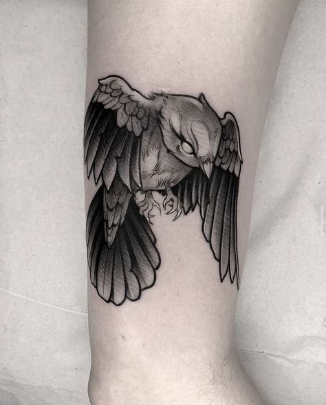 Black Work Bird Tattoo, Blackwork Bird Tattoo, Black Wing Tattoo, Vogel Tattoo, Black Bird Tattoo, Traditional Tattoo Designs, Sparrow Tattoo, Quality Tattoo, Crow Tattoo