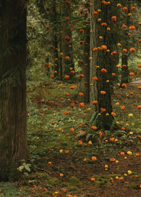 Forest Ceremony Wedding, Celestial Forest Wedding, Witchy Wedding Decor, Enchanted Forest Flowers, Sympathetic Magic, Forest Themed Party, Party In The Forest, Mystical Wedding, Magic Wedding