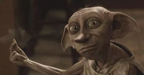 Here’s What the ‘Dobby’ Alien Video Most Likely Shows Dobby The Elf, Dobby Harry, Alien Videos, Deathly Hallows Part 1, Creepy Gif, Dobby Harry Potter, Elf House, Hero's Journey, Twitter Trending