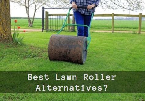 Why would you need a lawn roller? To keep the turf level and smooth, which gives the advantage of easy mowing, watering control, and a beautiful look. But do you have to invest in one ... Read more Lawn Roller, Lawn Rollers, 55 Gallon Drum, Diy Lawn, Mini Golf Course, 55 Gallon, Grass Seed, Organic Matter, Lawn Care