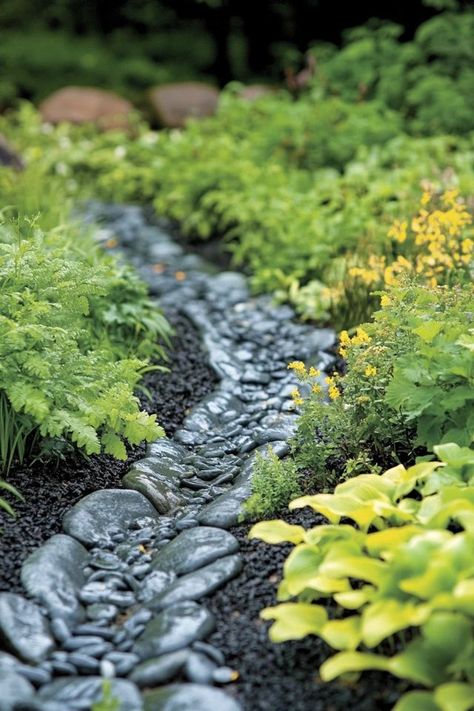 Capture rainwater and support local ecosystems with a rain garden. Find out how to design and plant a rain garden that benefits both your yard and the environment. 🌧️🌻 #RainGarden #WaterConservation #SustainableLandscaping Native Plant Rain Garden, Residential Rain Garden, Rain Basin, Ecosystem Garden, Rainscaping Ideas, Rainwater Garden, Pathway Design, Rain Garden Design, Rain Harvesting