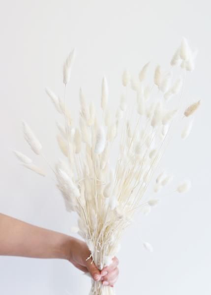 white flowers Wildflower Wedding Bouquet, Fresh Wedding Flowers, Tie The Knot Wedding, White Bunny, Bunny Tail, Fresh Cut Flowers, Wildflower Wedding, Ornamental Grasses, Dried Flower Arrangements