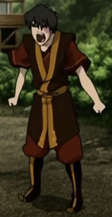 Avatar Ang, Avatar Legend Of Aang, Atla Memes, Prince Zuko, Avatar Zuko, Avatar The Last Airbender Funny, Avatar Funny, The Last Avatar, Avatar Cartoon