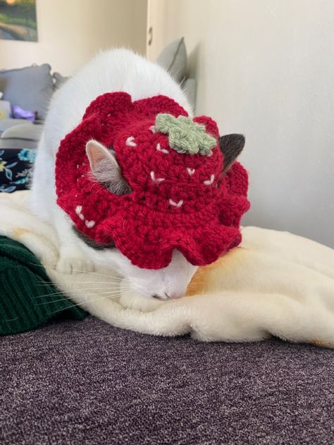 Crochet Strawberry Cat Hat, Crochet Hat For Cat, Crochet Dog Hat, Crochet Flower Hat, Crochet Succulent, Crochet Cat Hat, Crochet Strawberry, Easy Crochet Animals, Crochet Bucket Hat