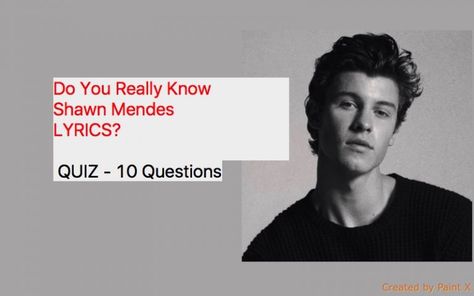 Shawn Mendes Quiz, Shawn Mendes 2017, Shawn Mendes Songs, Shawn Mendes Lyrics, Shawn Mendes Imagines, Muffin Man, Do You Really, Shawn Mendes, Songs