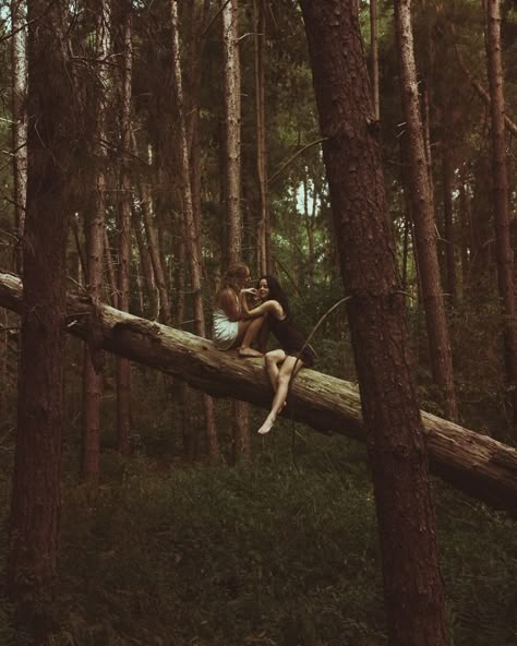 Forest Nymph, Aesthetic Photoshoot, K Pop, In Love, Forest, Photographer