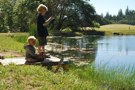 Downton Abbey Castle, Pond Fishing, Nature Club, Cole Palmer, Fishing Pond, Animation Classes, Background Reference, Fishing Photos, Oil Painting Inspiration