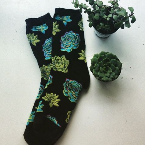 Totally want these succulent socks!  gypsywarrior's photo on Instagram Medias Aesthetic, Sock Style, Fluffy Socks, Funky Socks, Ootd Ideas, Crazy Socks, Black Socks, Funny Socks, Cute Socks