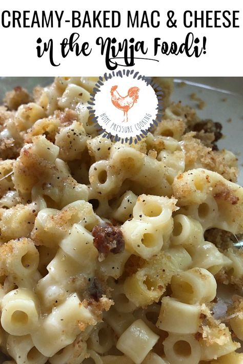 Ninja Foodi Macaroni and Cheese #bakedmacaroniandcheese #ninjafoodirecipes #pressurecooker #instantpot #airfryerrecipes Easy Ninja Foodi Recipes, Ninja Crockpot, Bruce Leroy, Ninja Foodi Recipes, Baked Macaroni And Cheese Recipe, Best Pressure Cooker Recipes, Cracker Chicken, Ninja Cooking System Recipes, Pressure Cooking Today